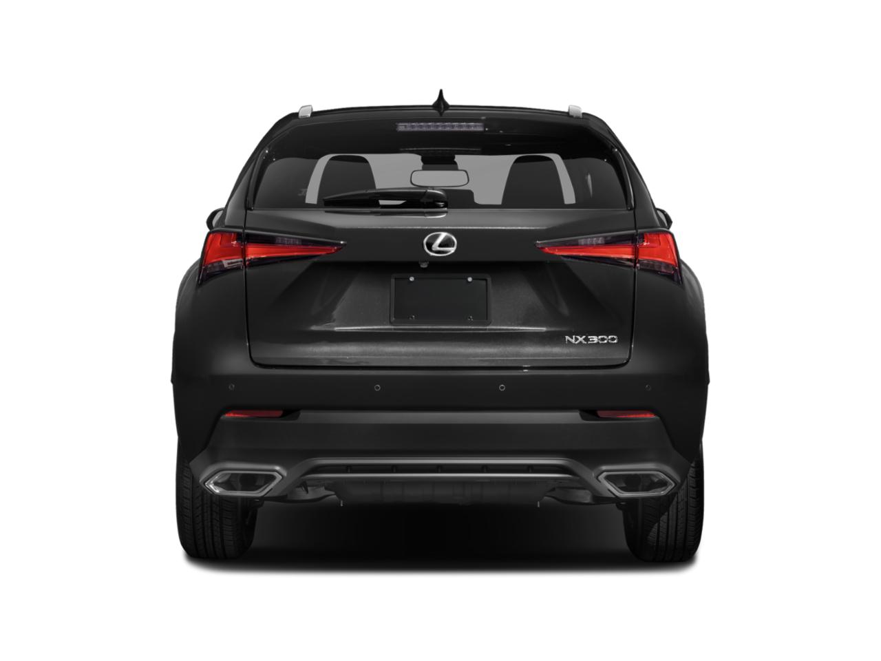 2019 Lexus NX 300 Vehicle Photo in Delray Beach, FL 33444