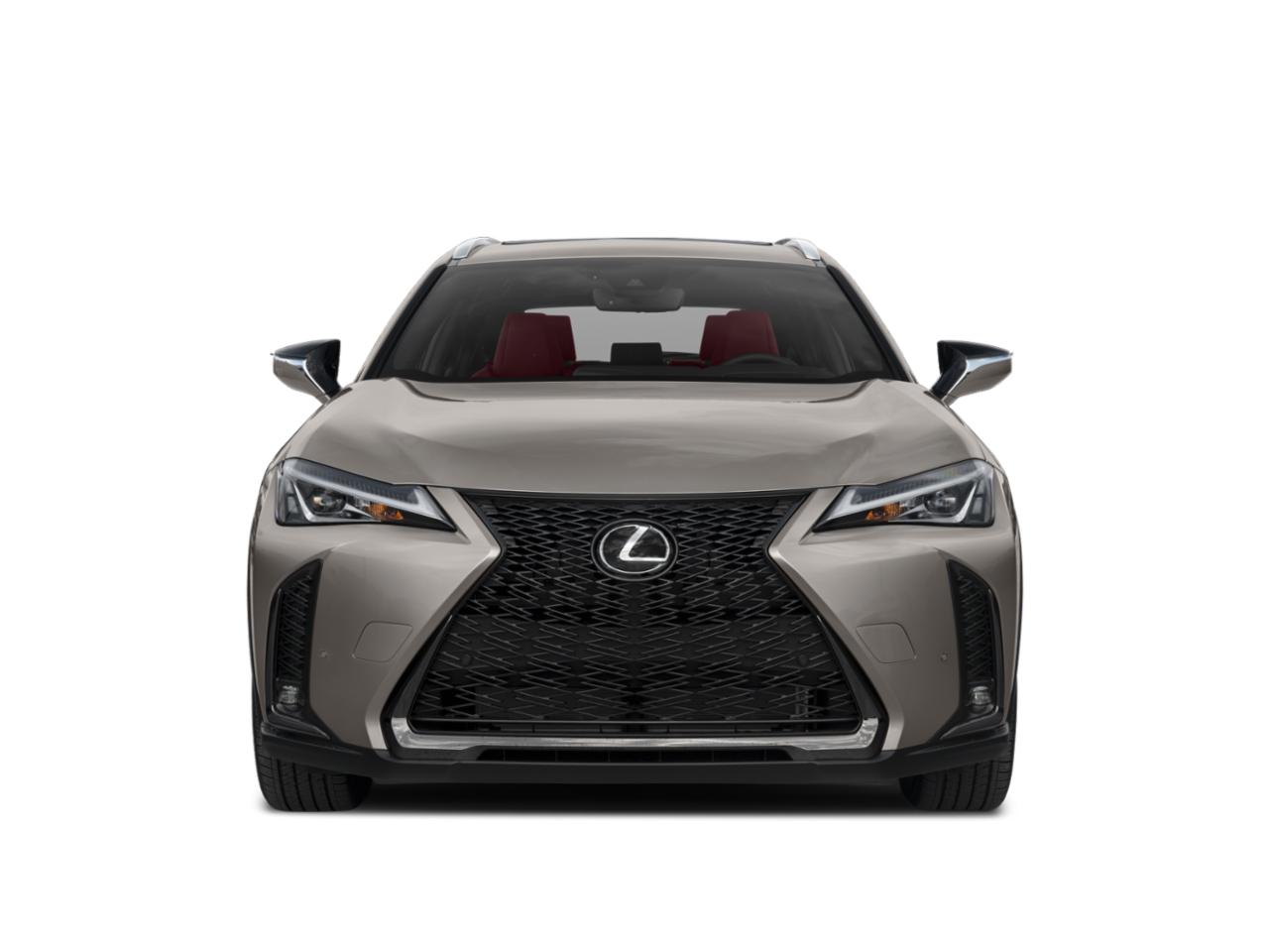 2019 Lexus UX 200 Vehicle Photo in Orlando, FL 32811