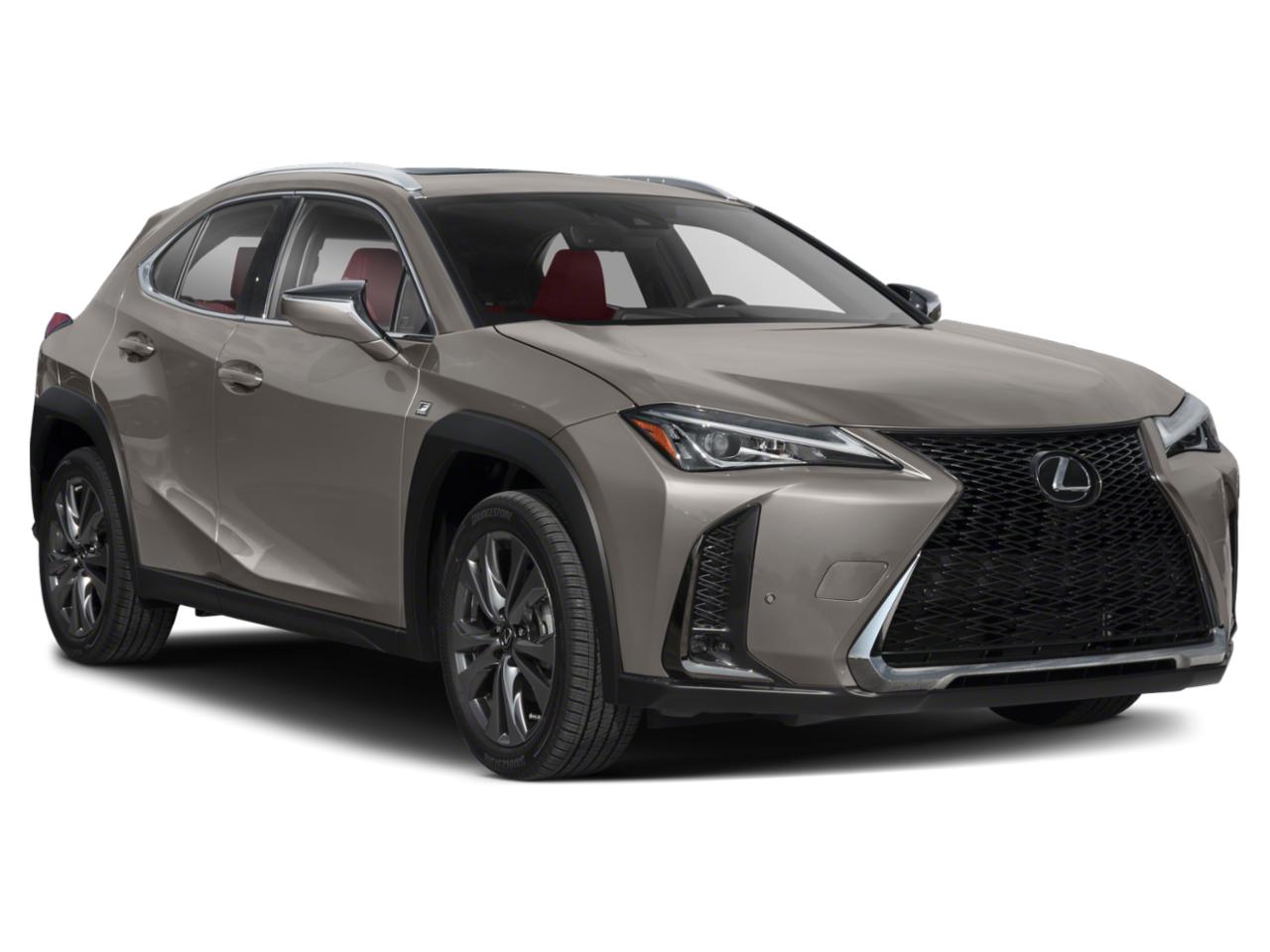 2019 Lexus UX 200 Vehicle Photo in Orlando, FL 32811