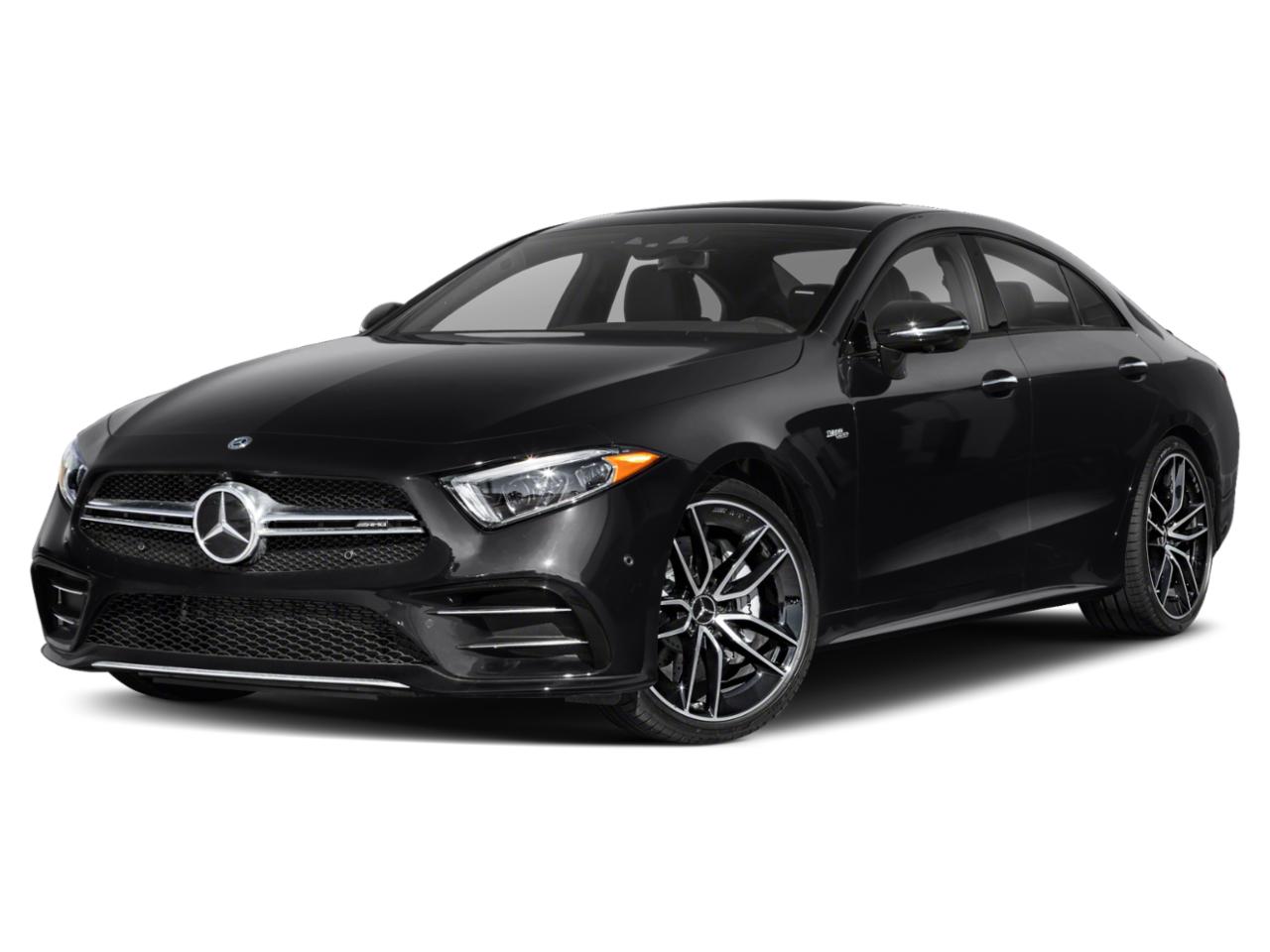 2019 Mercedes-Benz CLS Vehicle Photo in Tampa, FL 33614