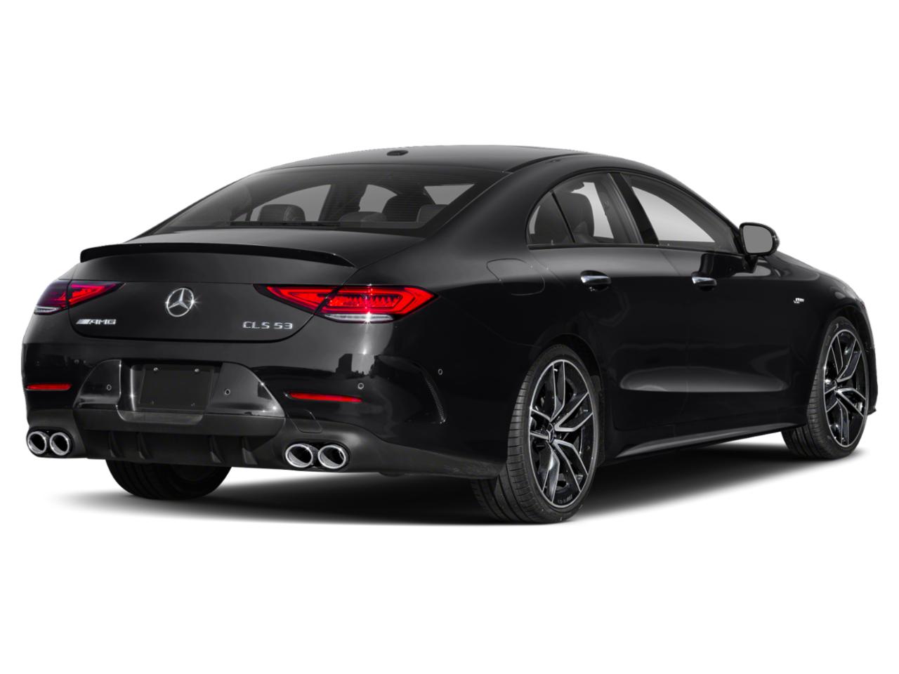 2019 Mercedes-Benz CLS Vehicle Photo in Tampa, FL 33614