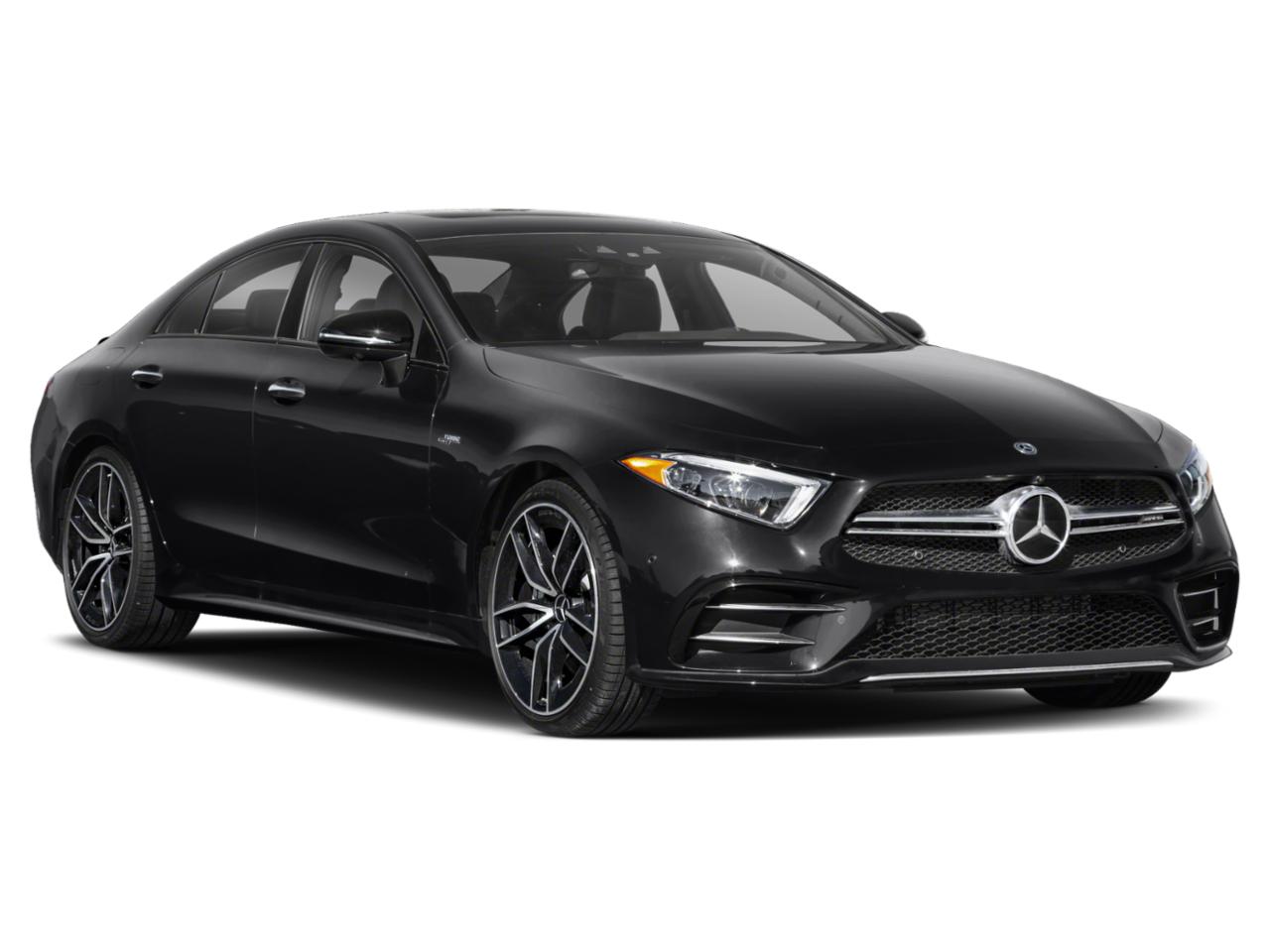 2019 Mercedes-Benz CLS Vehicle Photo in Tampa, FL 33614