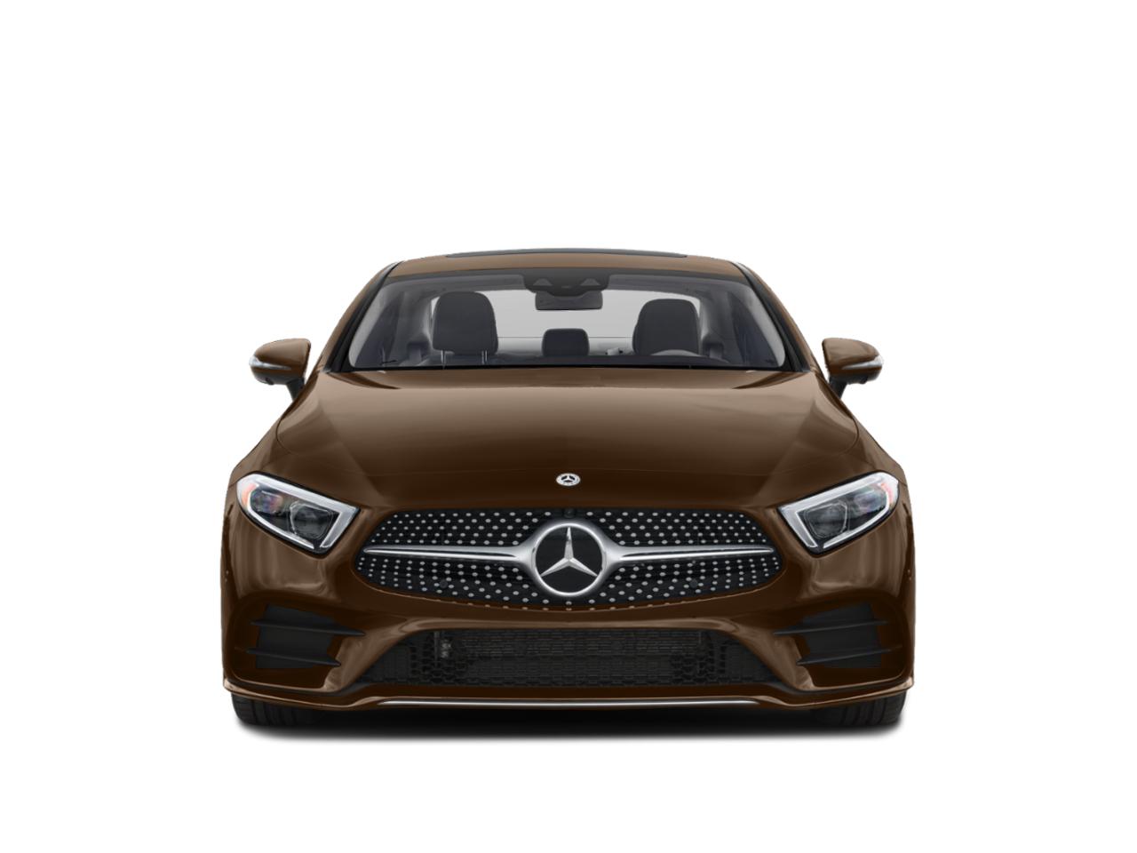 2019 Mercedes-Benz CLS Vehicle Photo in Fort Lauderdale, FL 33316