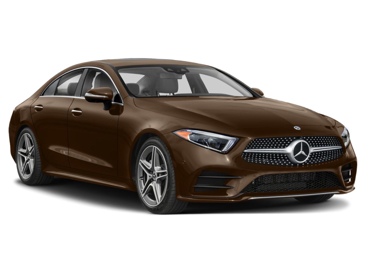 2019 Mercedes-Benz CLS Vehicle Photo in Margate, FL 33063