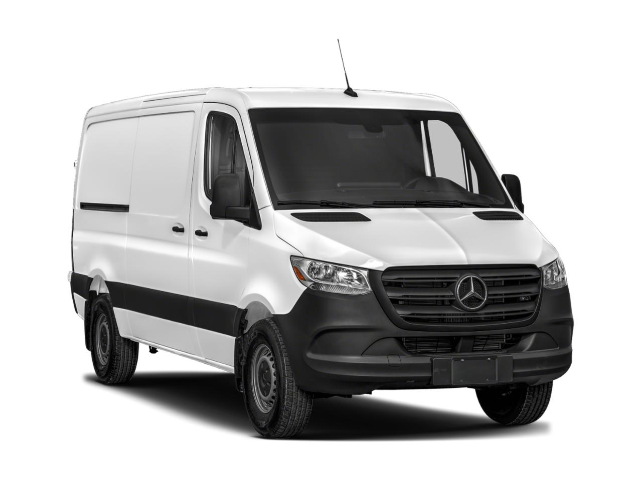 2019 Mercedes-Benz Sprinter Cargo Van Vehicle Photo in St. Petersburg, FL 33713