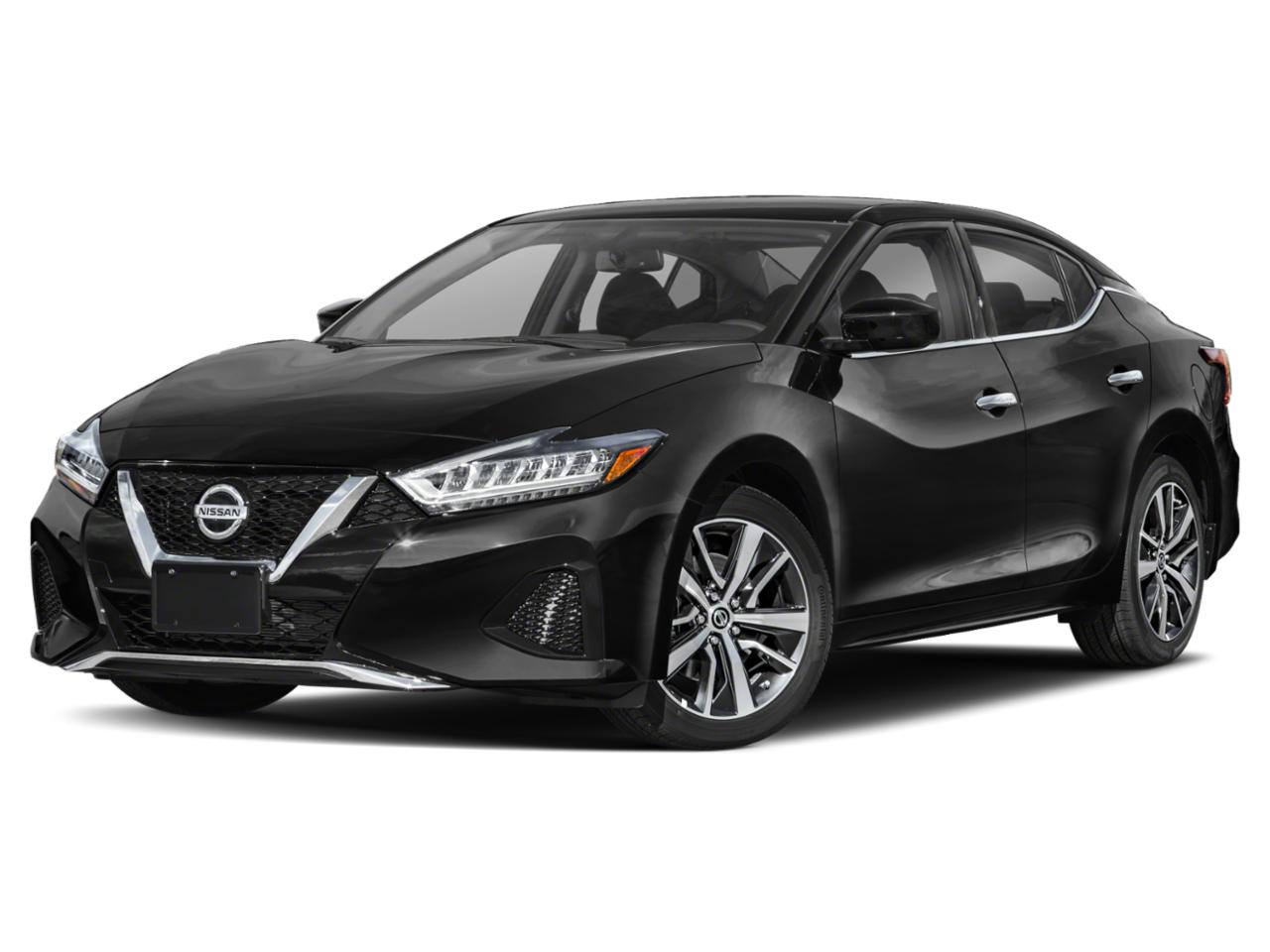 2019 Nissan Maxima Vehicle Photo in OAK LAWN, IL 60453-2517