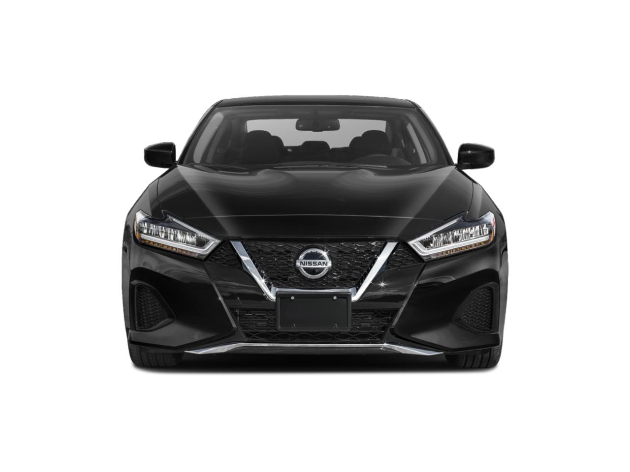 2019 Nissan Maxima Vehicle Photo in OAK LAWN, IL 60453-2517