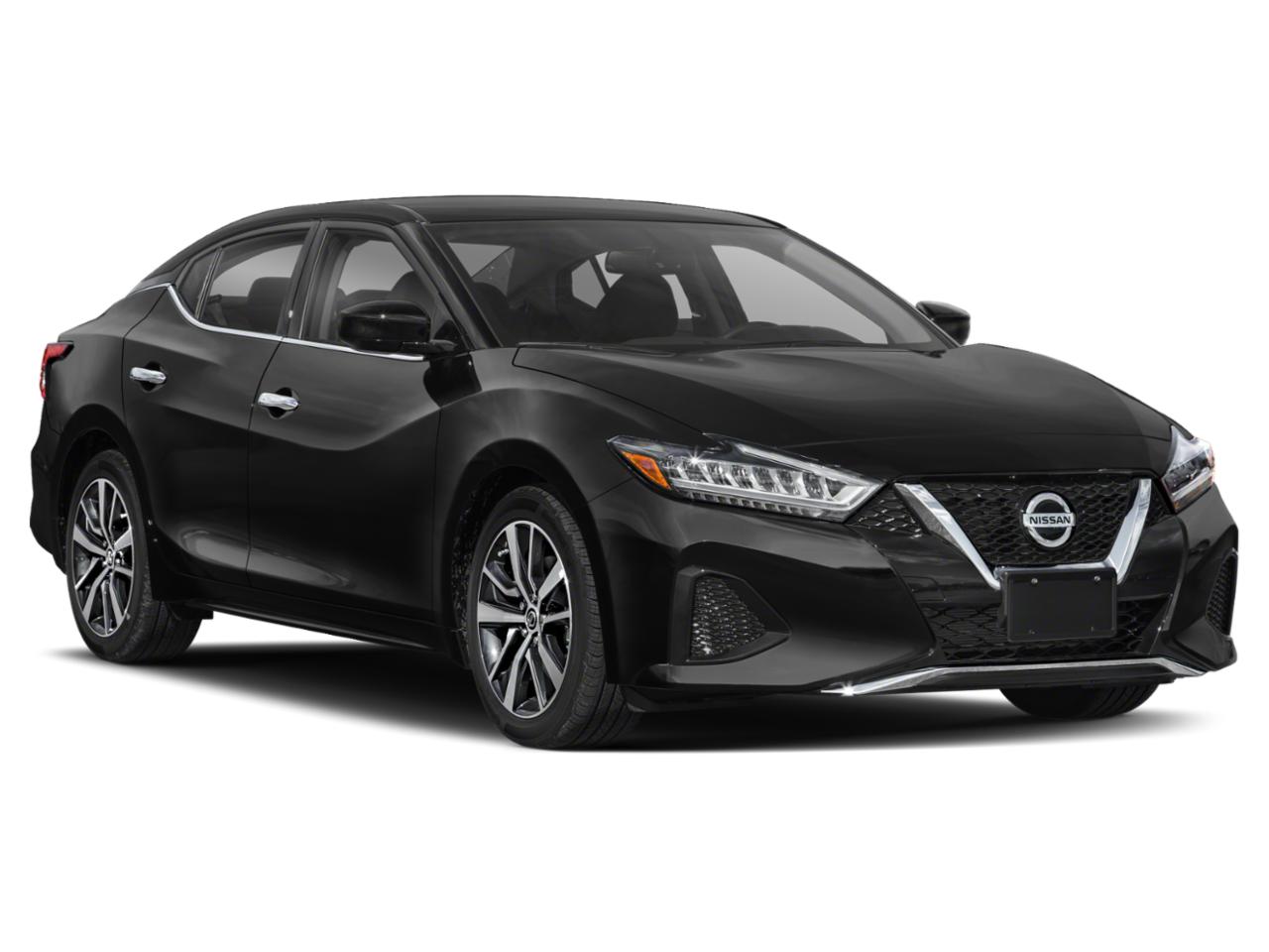 2019 Nissan Maxima Vehicle Photo in OAK LAWN, IL 60453-2517