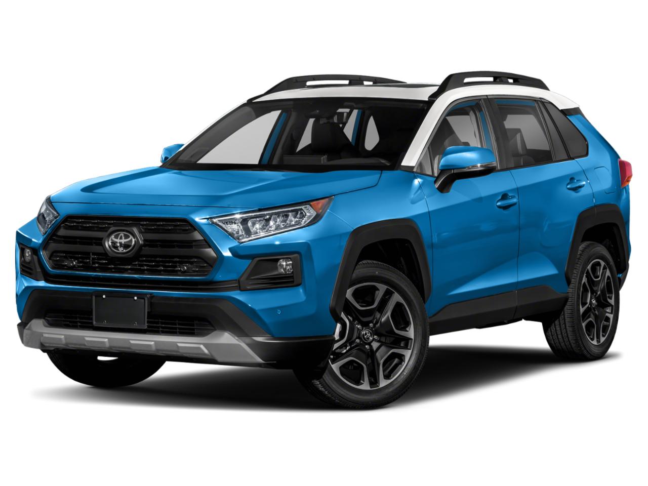 2019 Toyota RAV4 Vehicle Photo in Pinellas Park , FL 33781