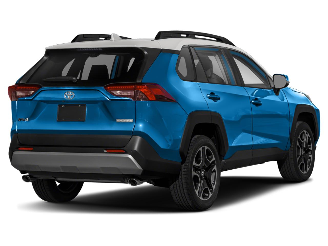 2019 Toyota RAV4 Vehicle Photo in Pinellas Park , FL 33781