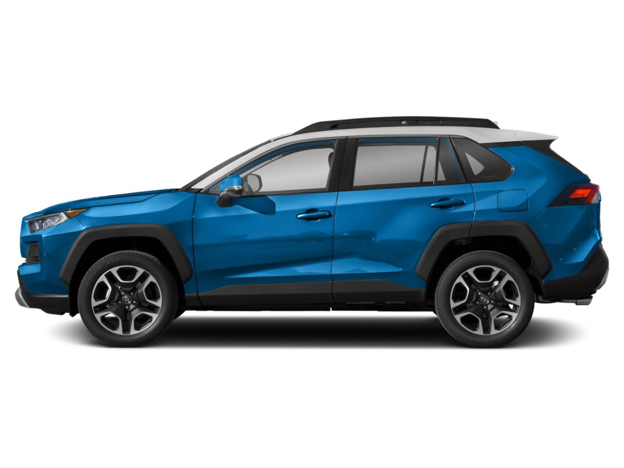 2019 Toyota RAV4 Vehicle Photo in Pinellas Park , FL 33781