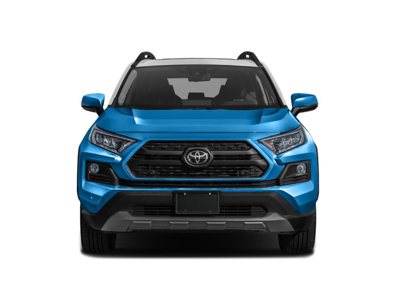 2019 Toyota RAV4 Vehicle Photo in Pinellas Park , FL 33781