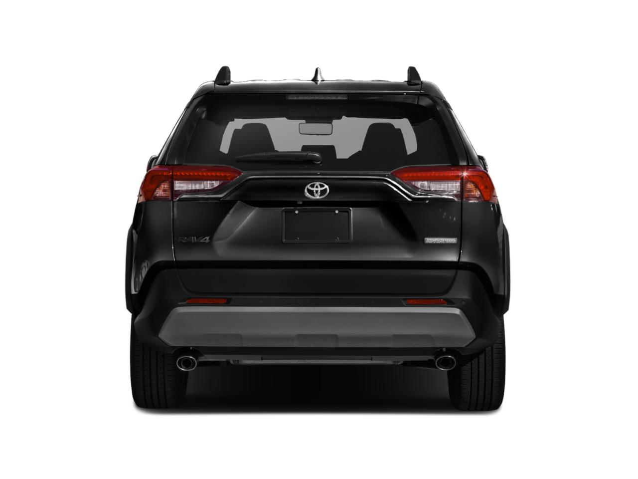 2019 Toyota RAV4 Vehicle Photo in Pinellas Park , FL 33781