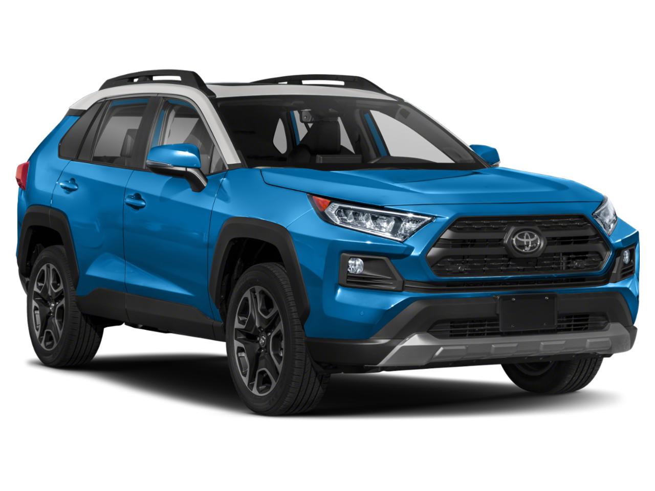 2019 Toyota RAV4 Vehicle Photo in Pinellas Park , FL 33781