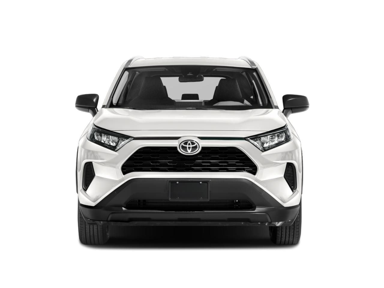 2019 Toyota RAV4 Vehicle Photo in Merrillville, IN 46410-5311