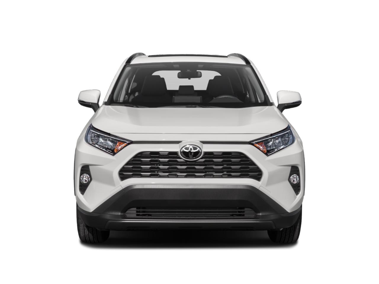 2019 Toyota RAV4 Vehicle Photo in AMARILLO, TX 79103-4111