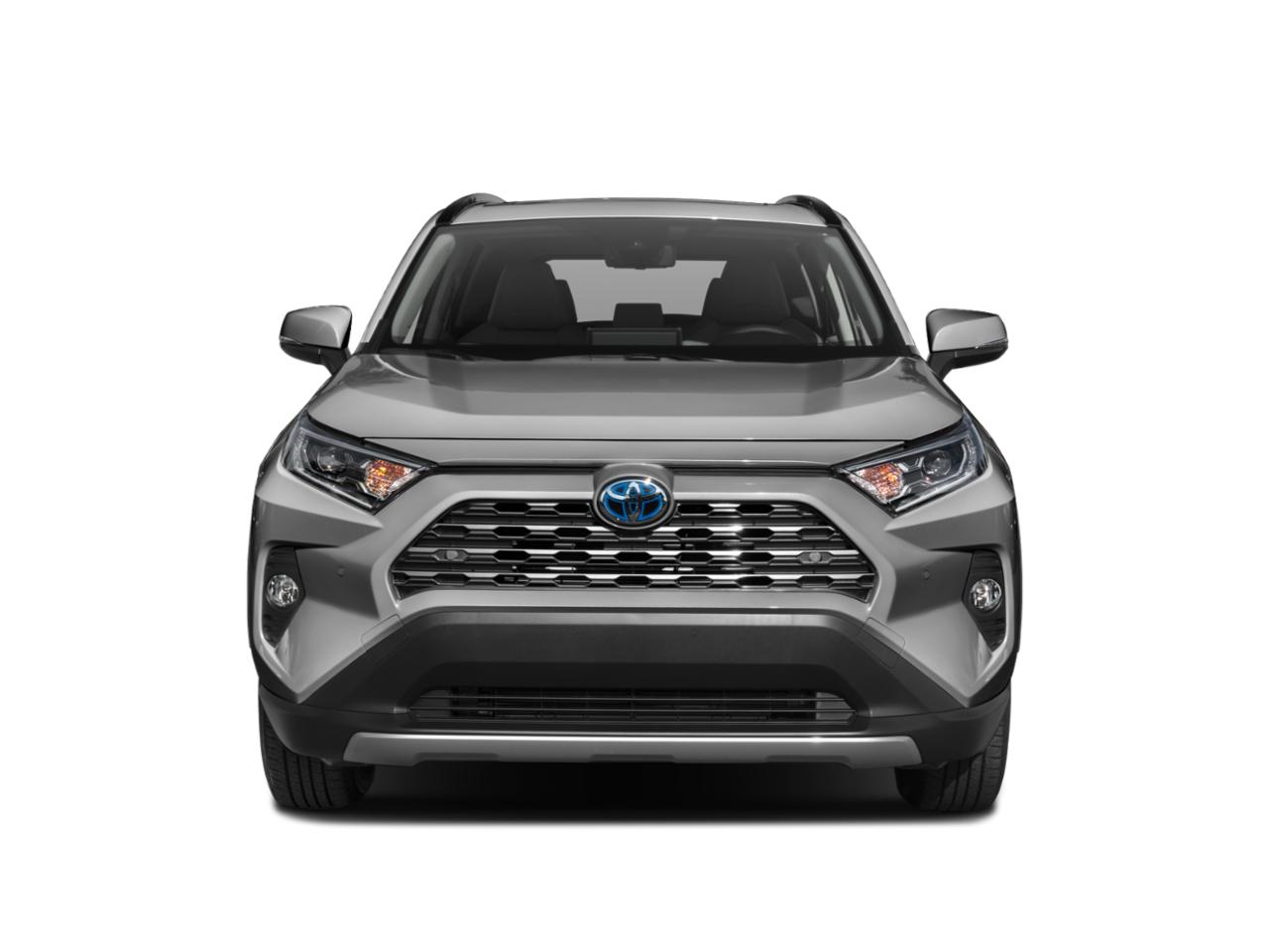 2019 Toyota RAV4 Vehicle Photo in Pinellas Park , FL 33781