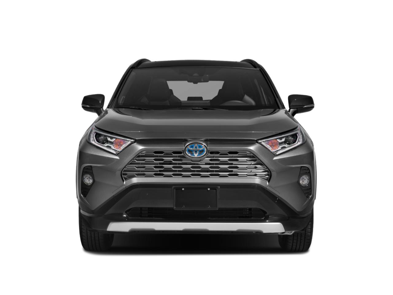 2019 Toyota RAV4 Vehicle Photo in Ft. Myers, FL 33907