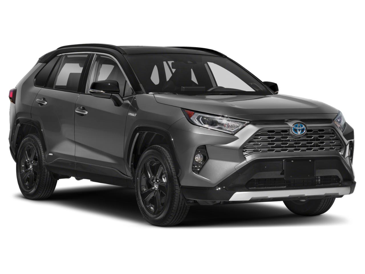 2019 Toyota RAV4 Vehicle Photo in Ft. Myers, FL 33907