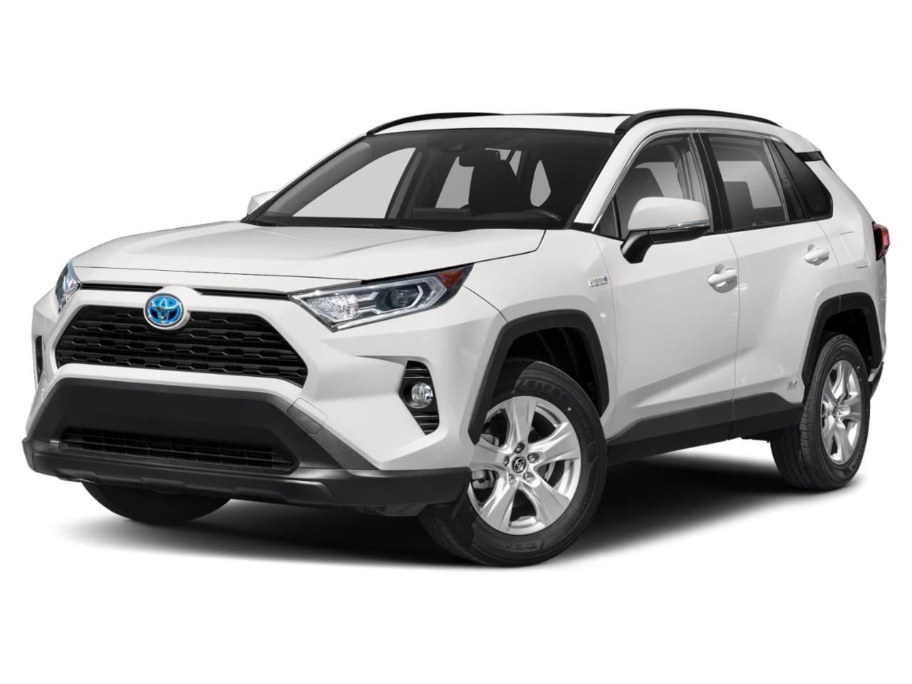 2019 Toyota RAV4 Vehicle Photo in Panama City, FL 32401