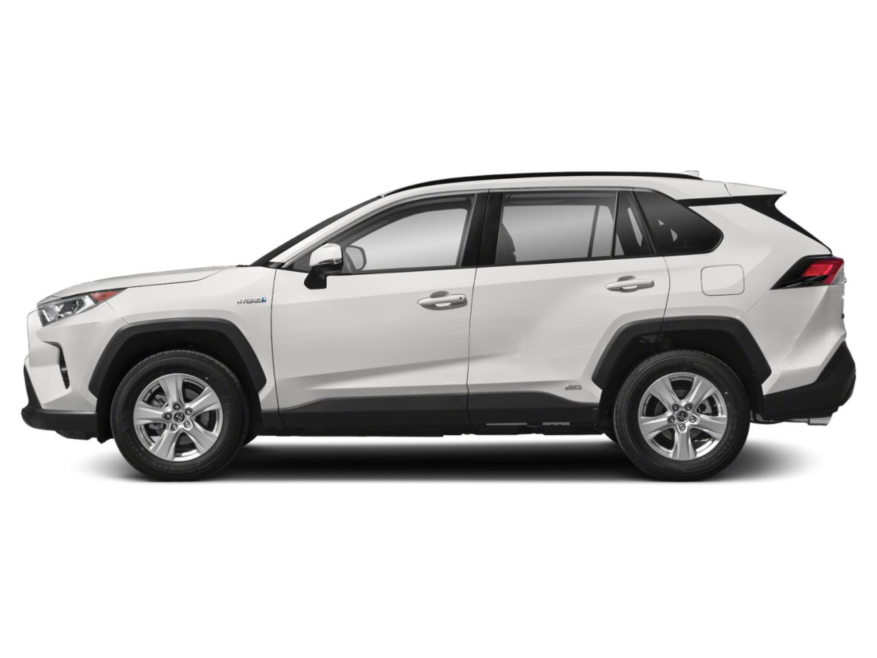 2019 Toyota RAV4 Vehicle Photo in Austin, TX 78728