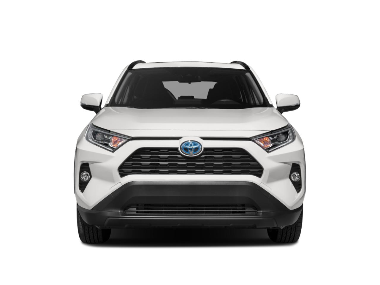 2019 Toyota RAV4 Vehicle Photo in Austin, TX 78728