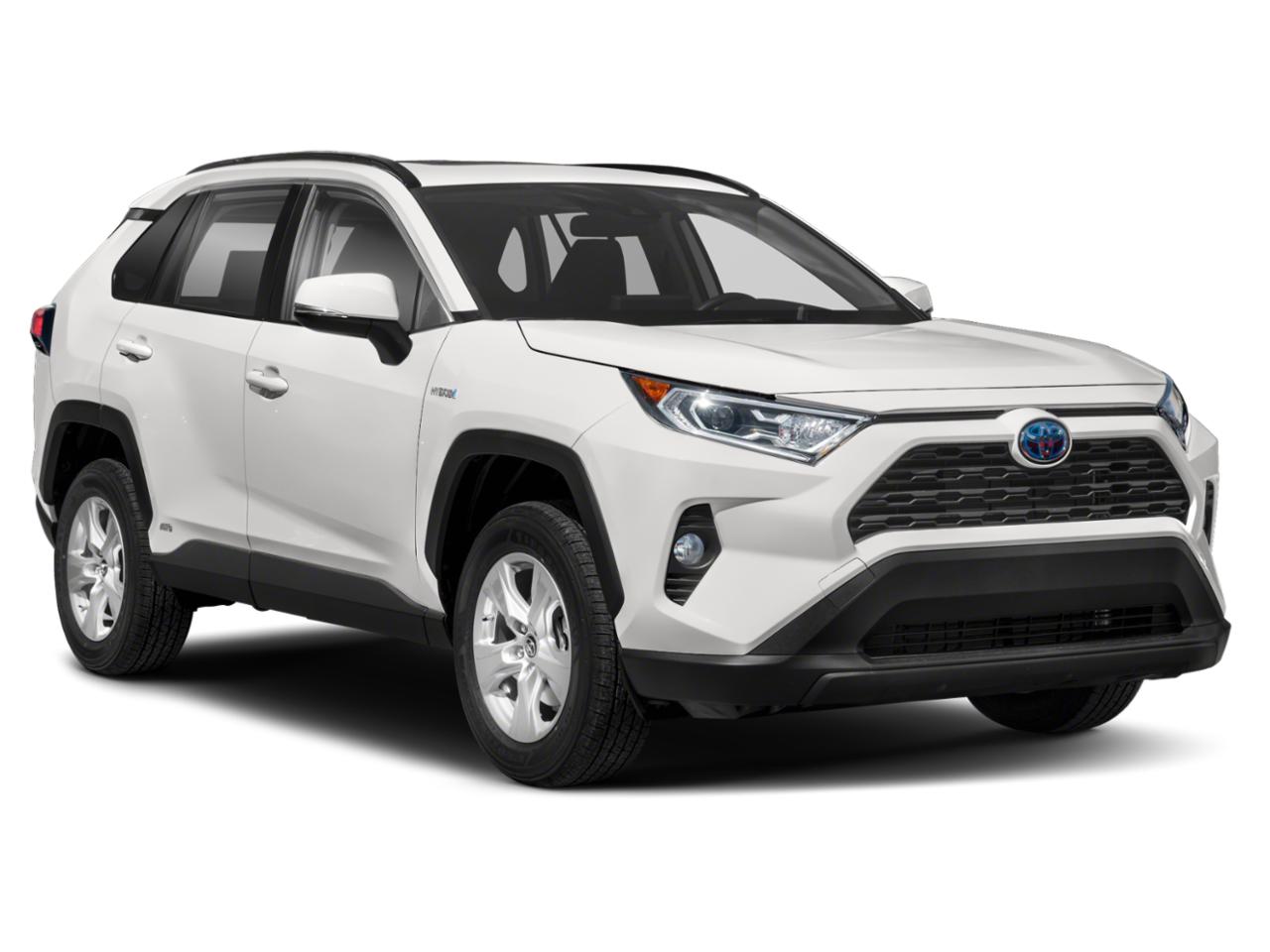 2019 Toyota RAV4 Vehicle Photo in San Antonio, TX 78209