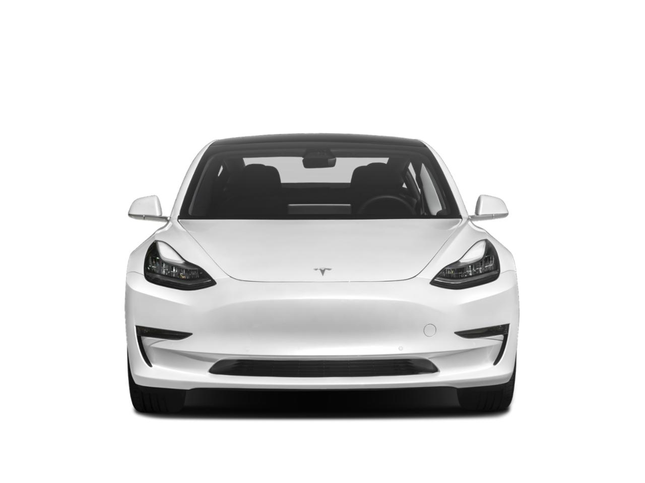 2019 Tesla Model 3 Vehicle Photo in Las Vegas, NV 89149