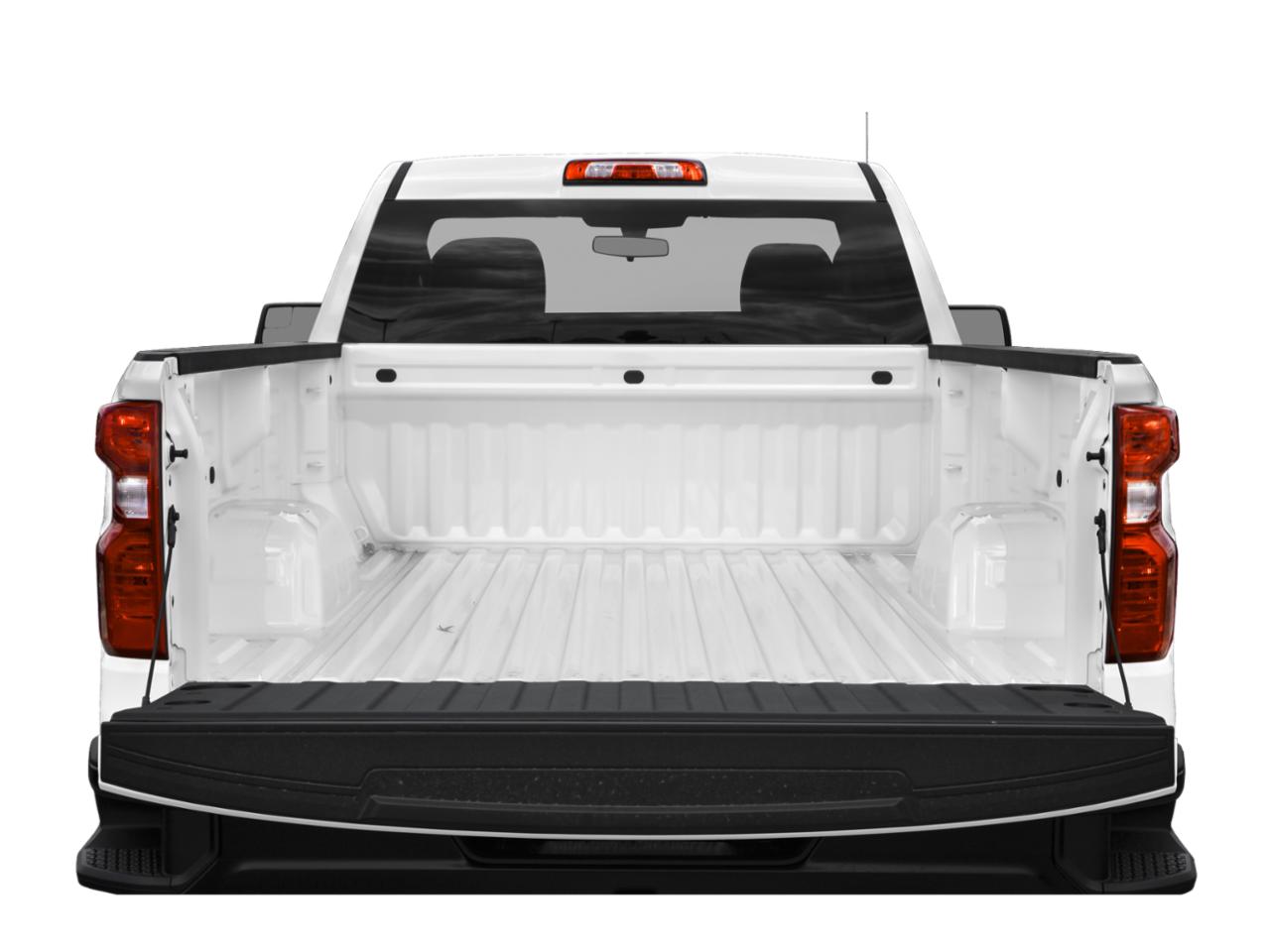 2020 Chevrolet Silverado 1500 Vehicle Photo in POOLER, GA 31322-3252