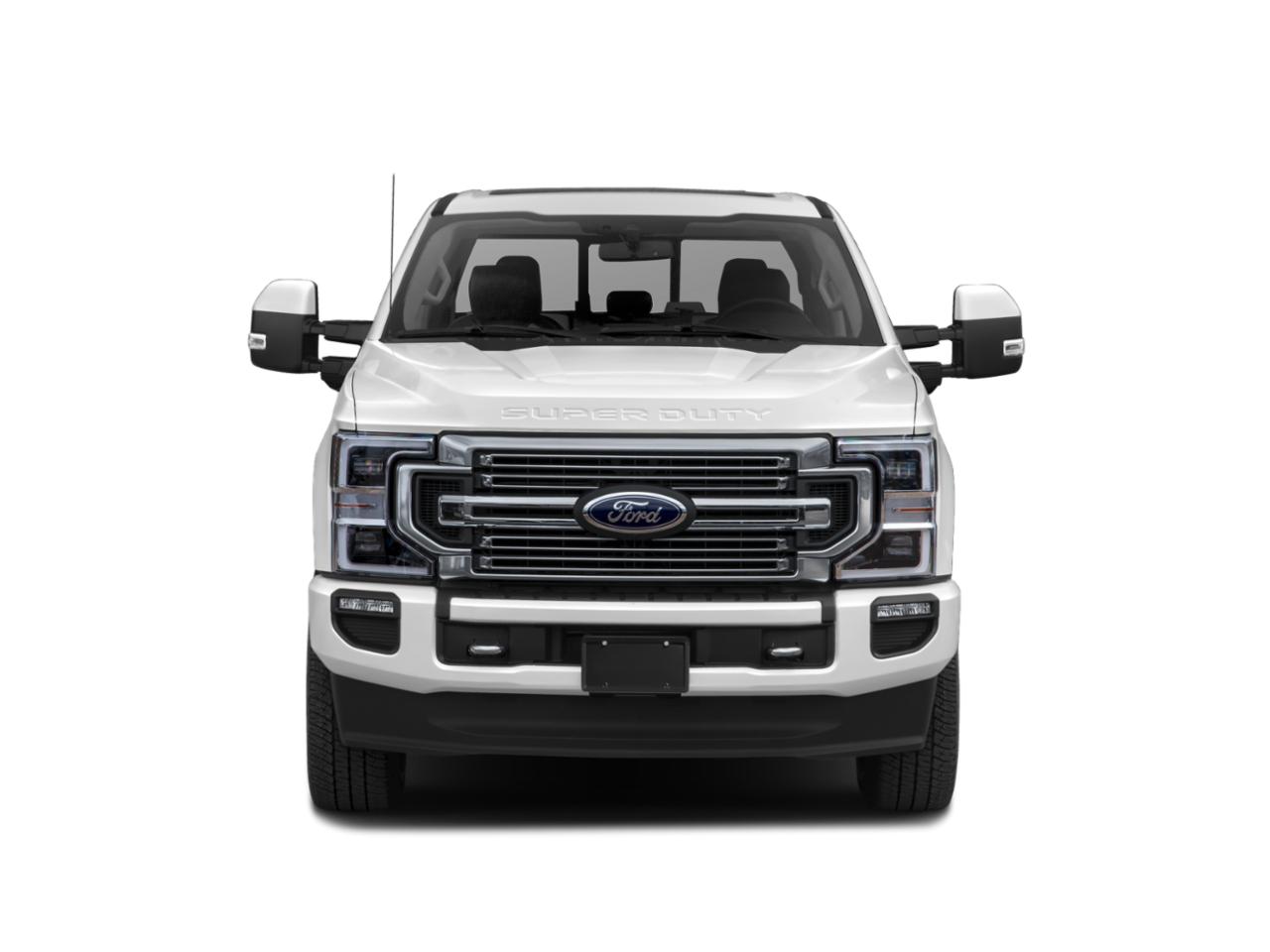 2020 Ford Super Duty F-350 SRW Vehicle Photo in Terrell, TX 75160