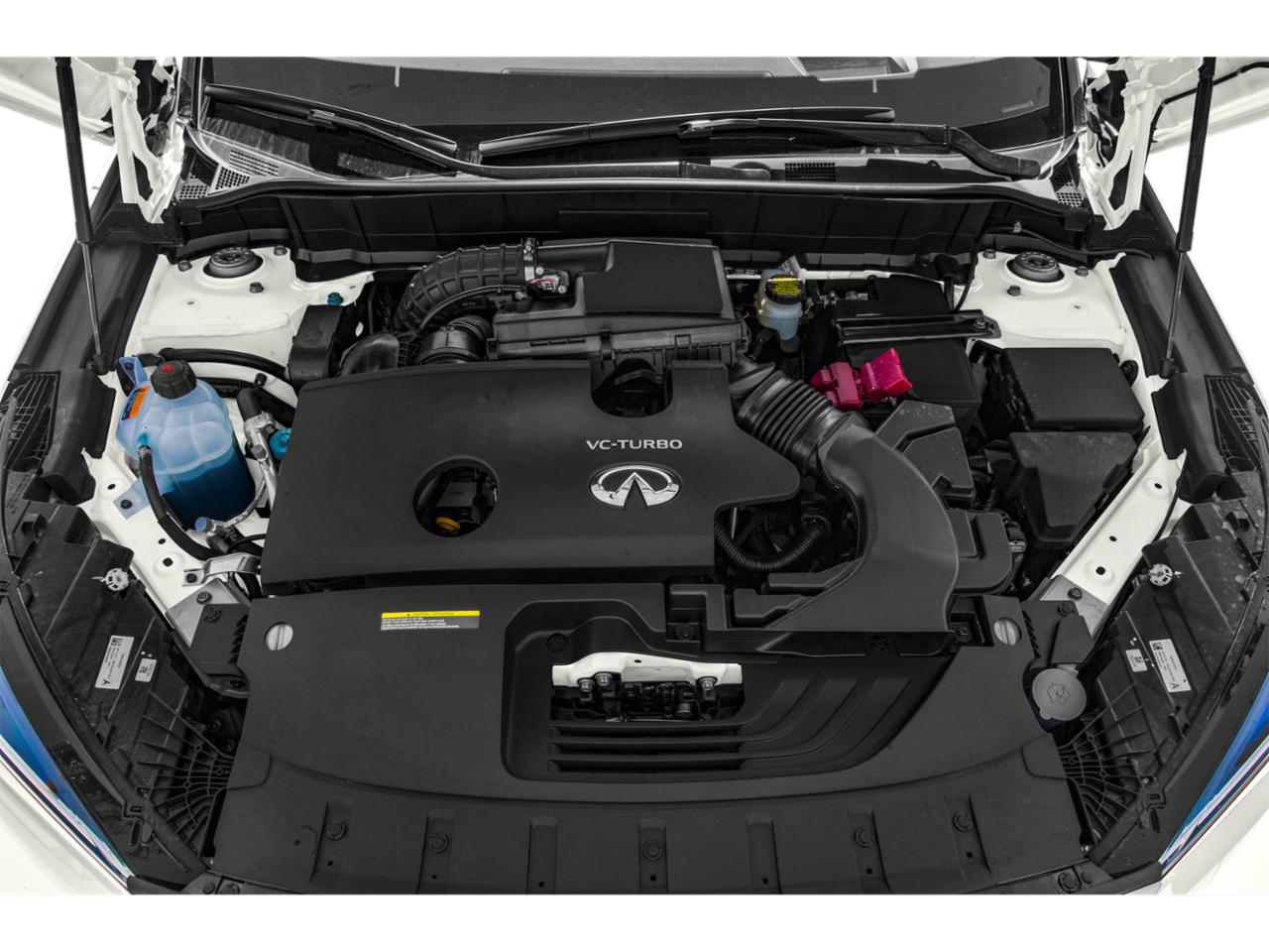 2020 INFINITI QX50 Vehicle Photo in Clearwater, FL 33764