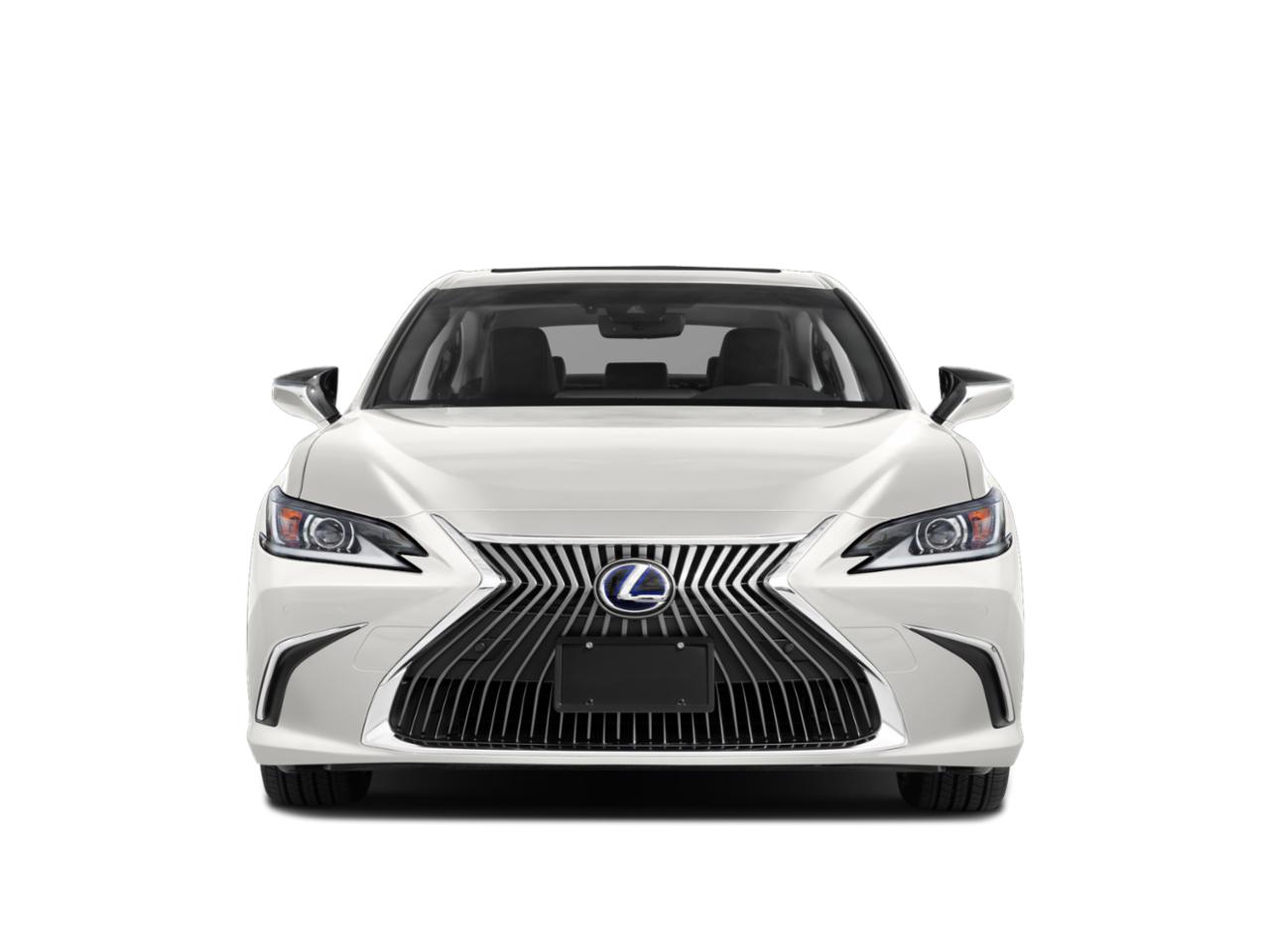 2020 Lexus ES Vehicle Photo in PEMBROKE PINES, FL 33024-6534