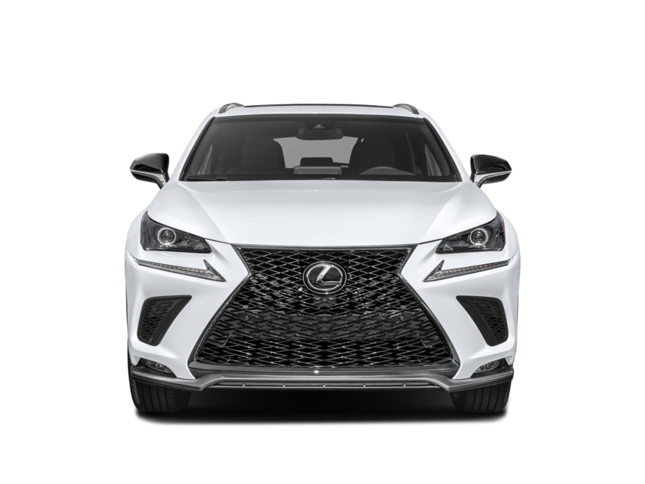 2020 Lexus NX 300 Vehicle Photo in West Palm Beach, FL 33417