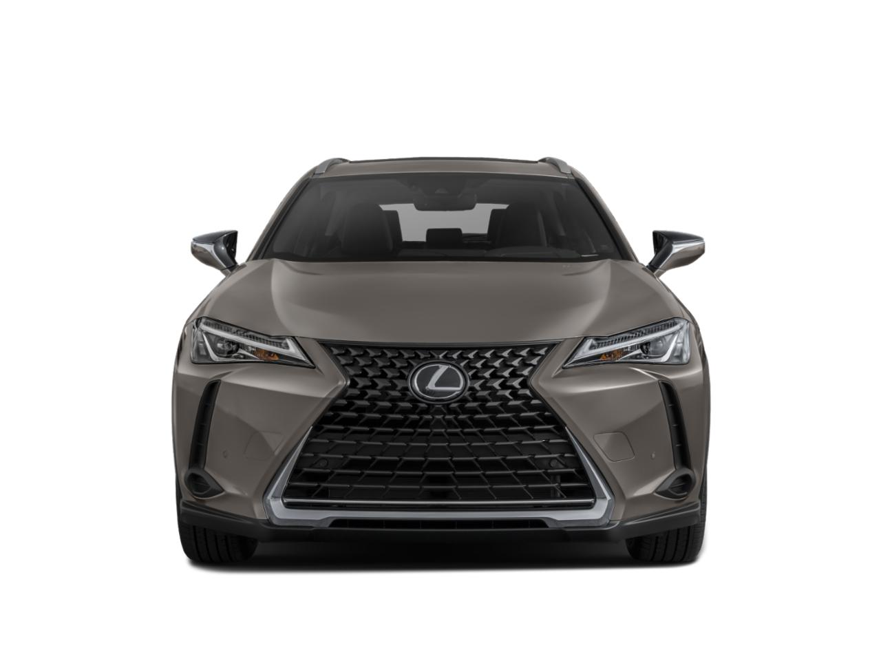 2020 Lexus UX 200 Vehicle Photo in West Palm Beach, FL 33417