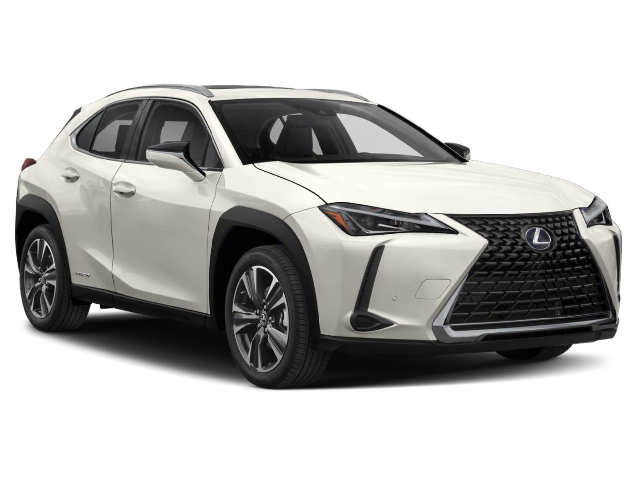 2020 Lexus UX 250h Vehicle Photo in Tampa, FL 33614