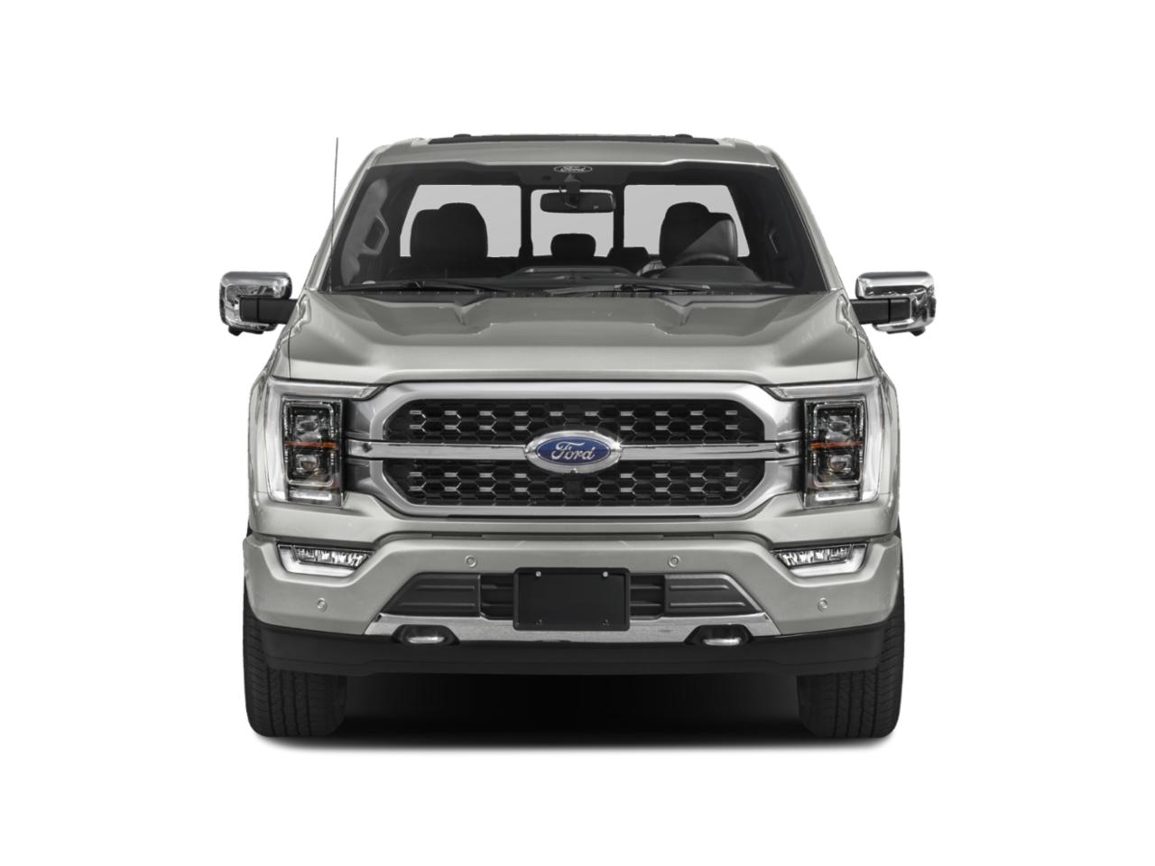 2021 Ford F-150 Vehicle Photo in Plainfield, IL 60586