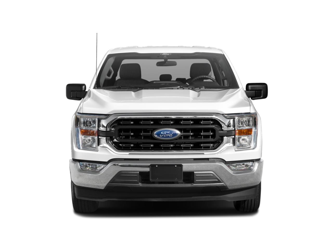 2021 Ford F-150 Vehicle Photo in SELMA, TX 78154-1459