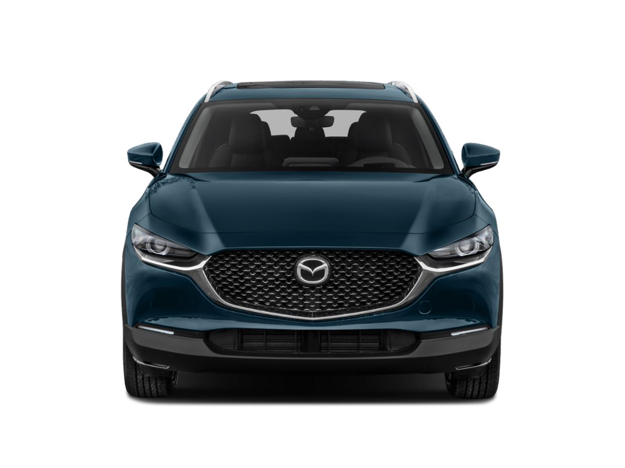 2021 Mazda CX-30 Vehicle Photo in Green Bay, WI 54304