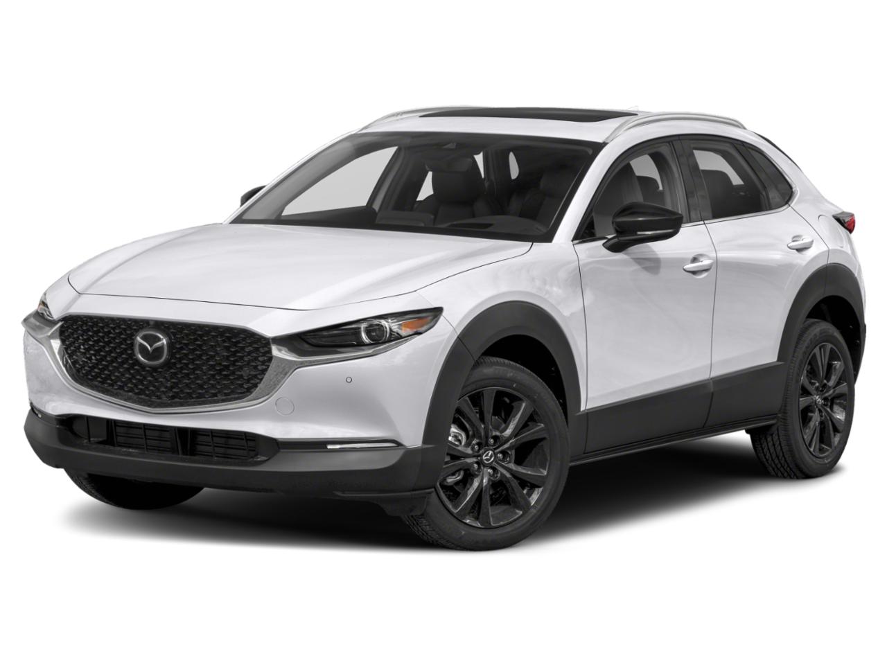 2021 Mazda CX-30 Vehicle Photo in Green Bay, WI 54304