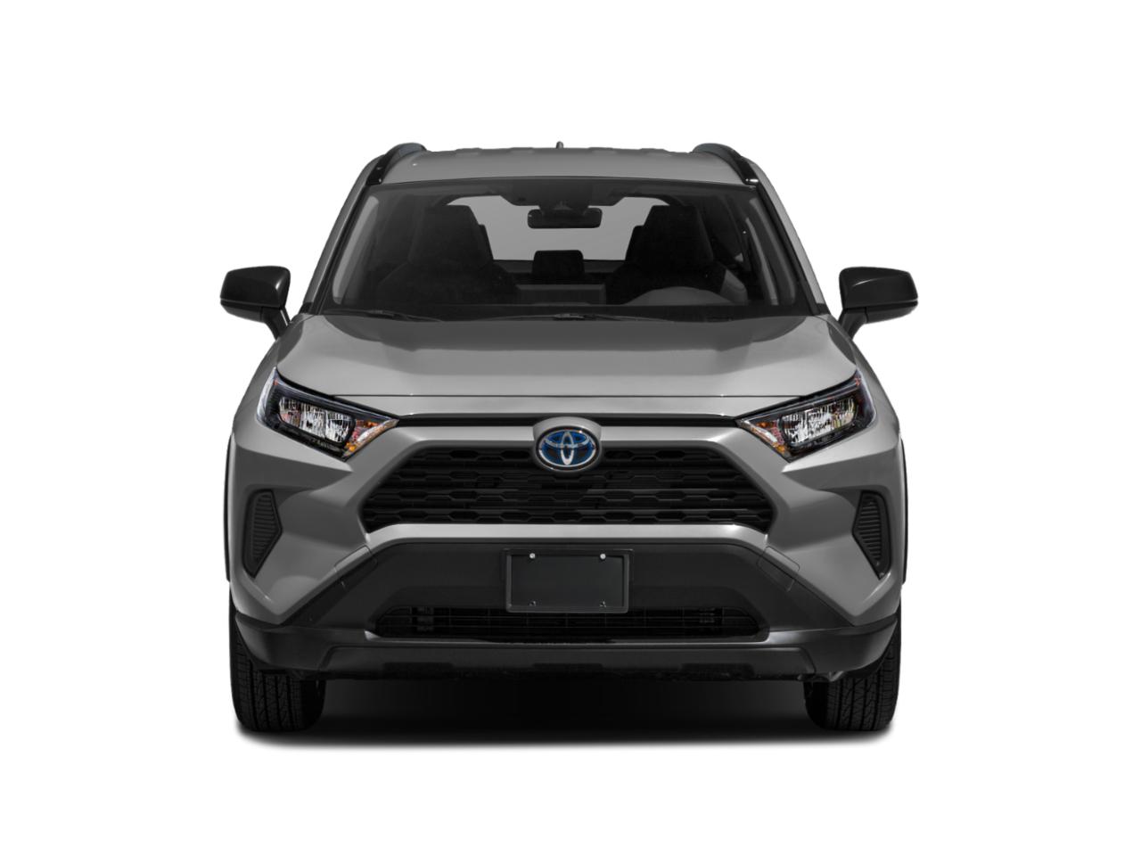 2021 Toyota RAV4 Vehicle Photo in Corpus Christi, TX 78415