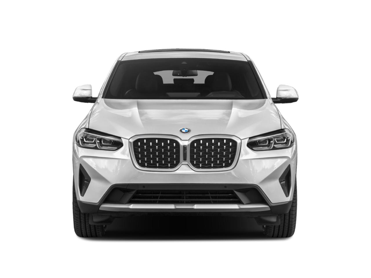 2022 BMW X4 xDrive30i Vehicle Photo in Wesley Chapel, FL 33544