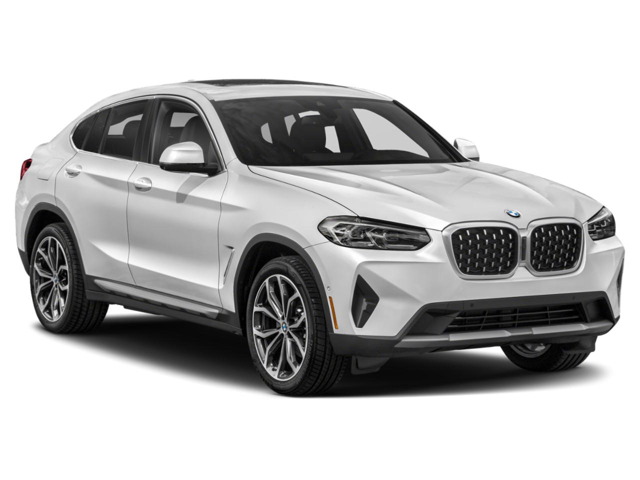 2022 BMW X4 xDrive30i Vehicle Photo in Wesley Chapel, FL 33544