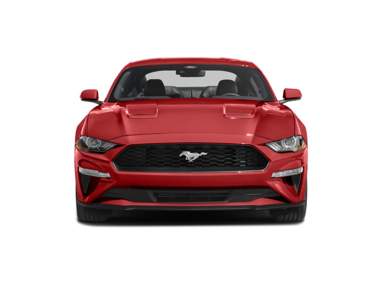 2022 Ford Mustang Vehicle Photo in GRAND BLANC, MI 48439-8139