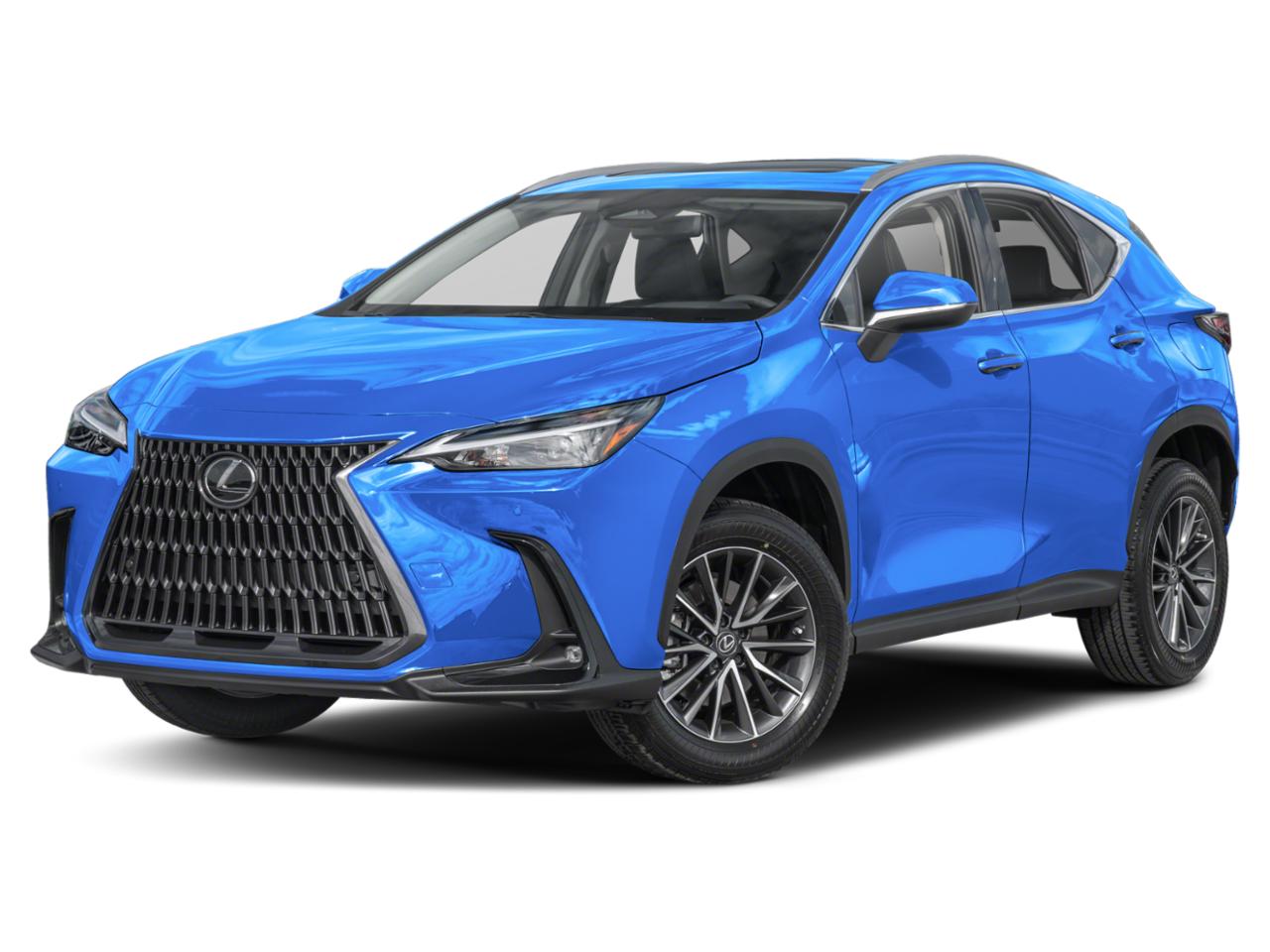 2022 Lexus NX 250 Vehicle Photo in Clearwater, FL 33761