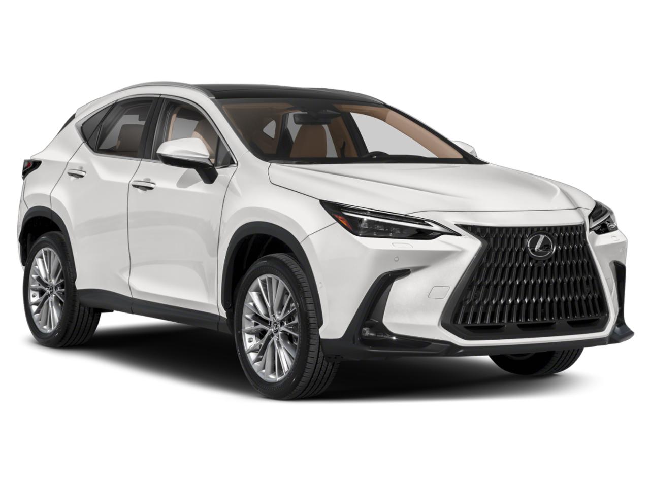 2022 Lexus NX Vehicle Photo in PEMBROKE PINES, FL 33024-6534