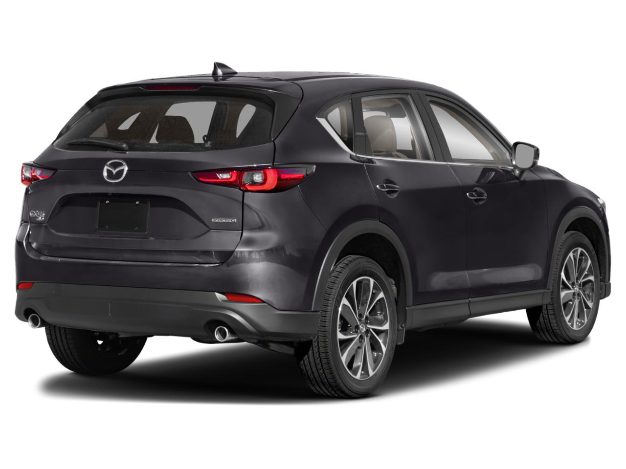 2022 Mazda CX-5 Vehicle Photo in OAK LAWN, IL 60453-2517