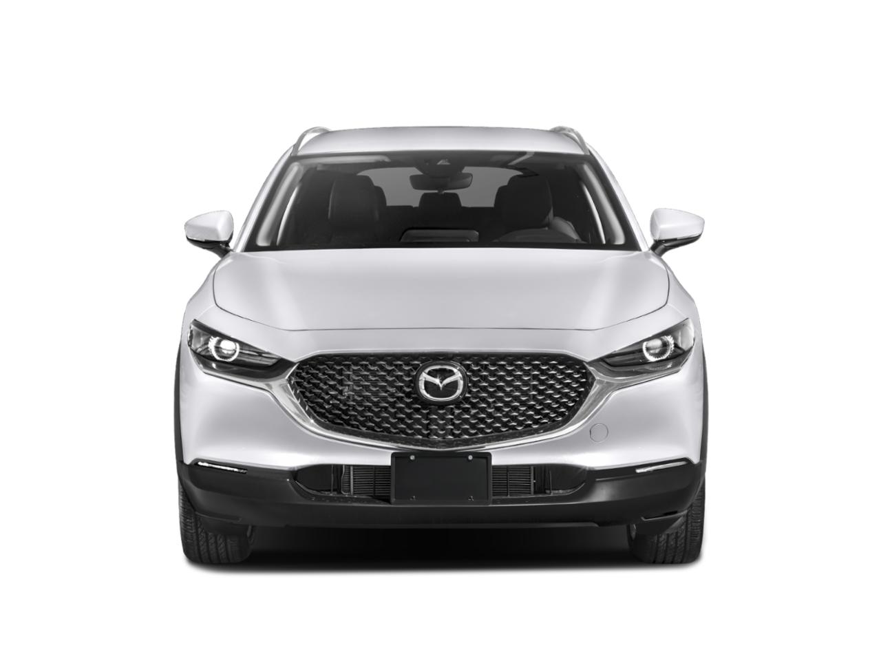 2022 Mazda CX-30 Vehicle Photo in Pembroke Pines, FL 33027