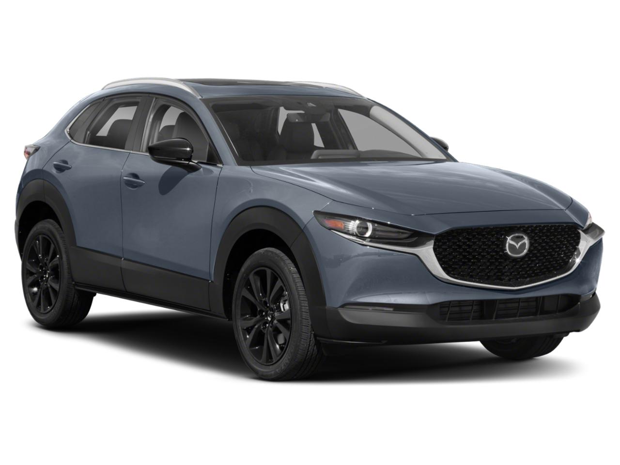 2022 Mazda CX-30 Vehicle Photo in Clearwater, FL 33765