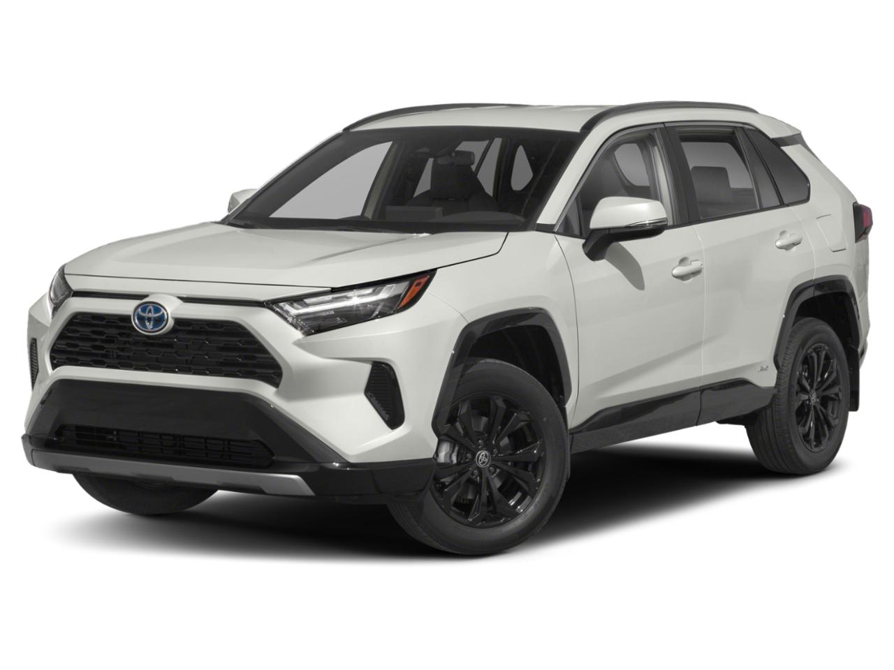 2022 Toyota RAV4 Vehicle Photo in Pinellas Park , FL 33781