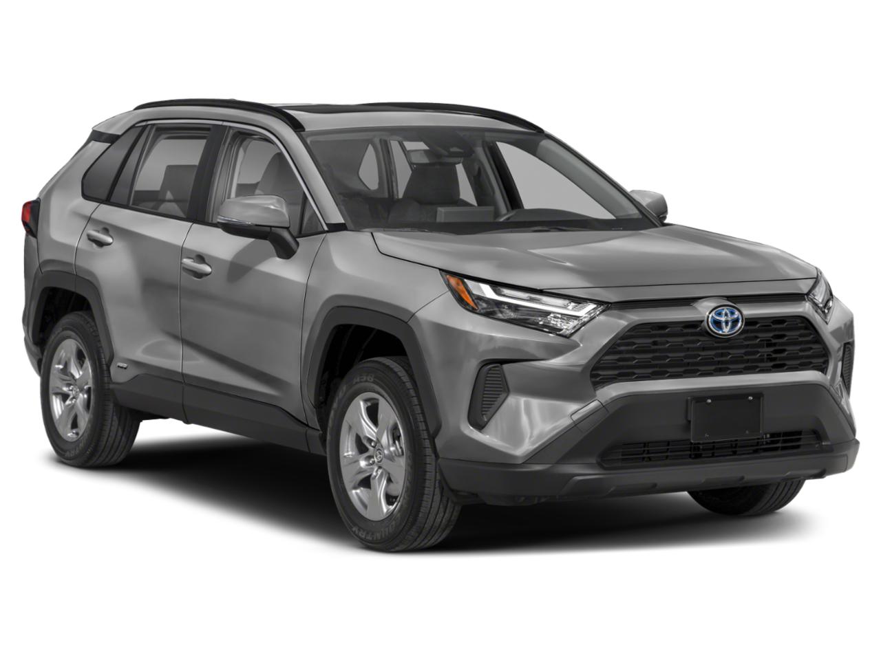 2022 Toyota RAV4 Vehicle Photo in Seguin, TX 78155